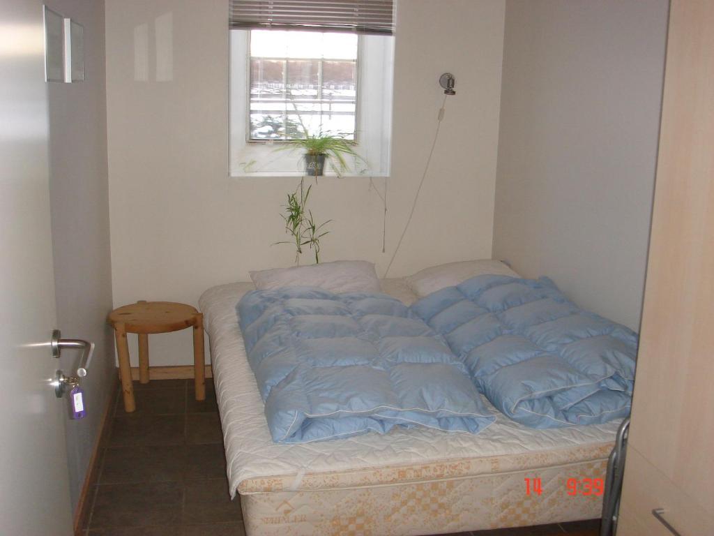 Bindslev Nordkap Farm Holiday & Hostel חדר תמונה