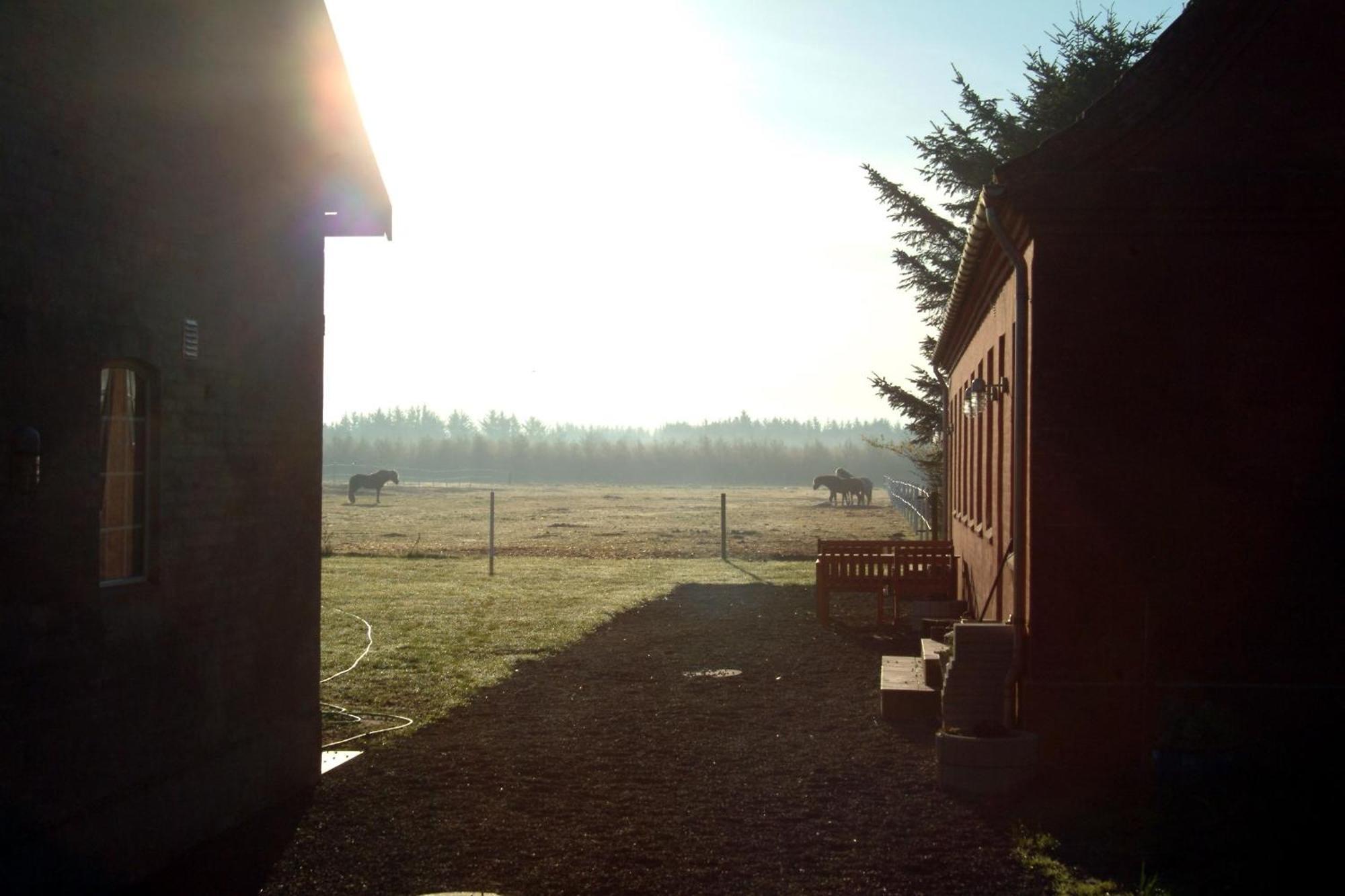 Bindslev Nordkap Farm Holiday & Hostel מראה חיצוני תמונה