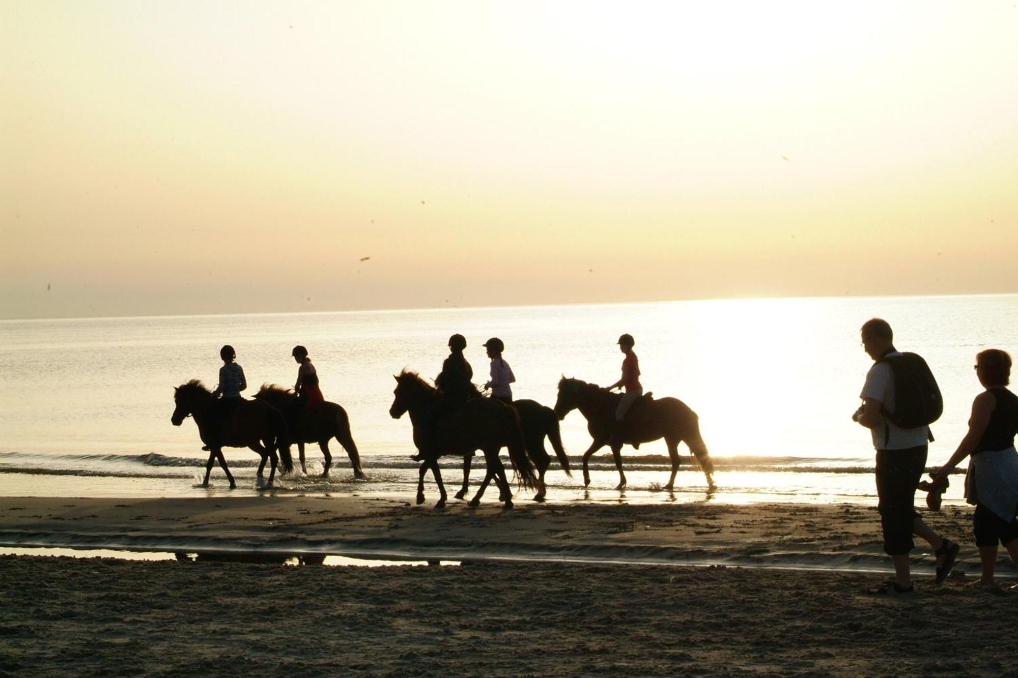 Bindslev Nordkap Farm Holiday & Hostel מראה חיצוני תמונה