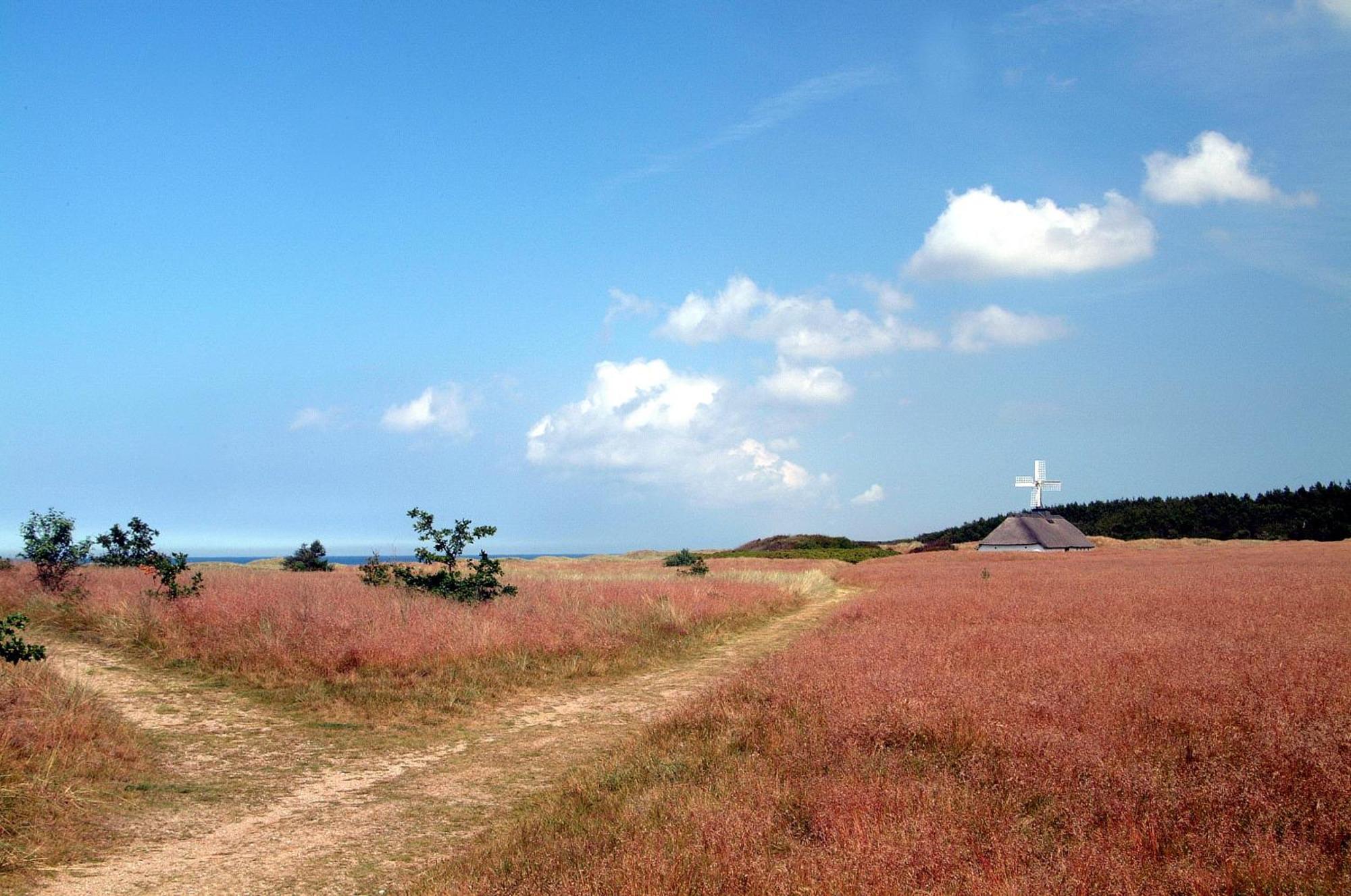 Bindslev Nordkap Farm Holiday & Hostel מראה חיצוני תמונה
